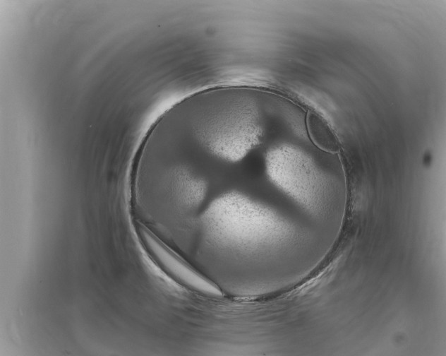 X0000095551471200712211359