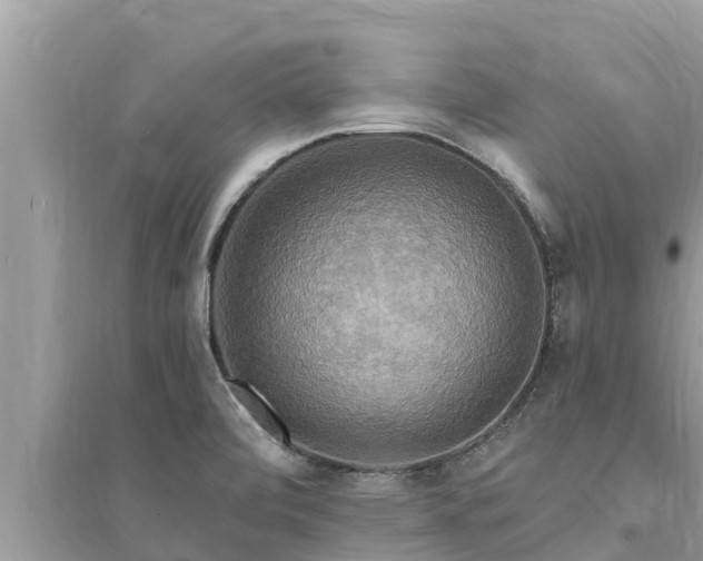 X0000095551472200712211359