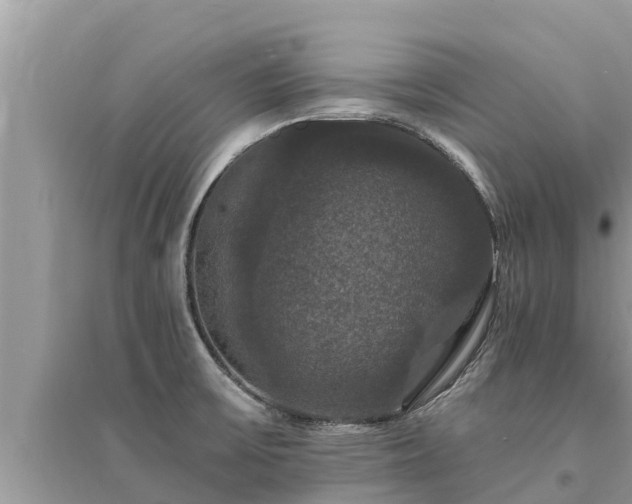 X0000095551475200712211359