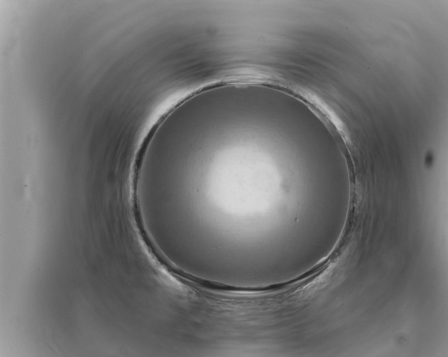 X0000095551477200712211359