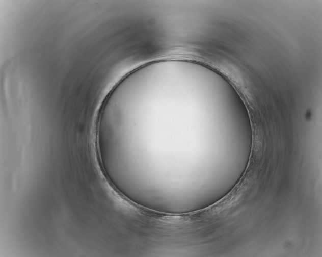 X0000095551478200712211359