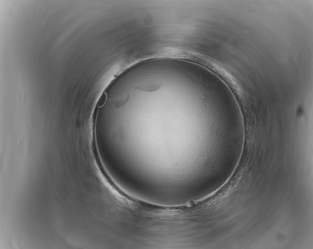 X0000095551479200712211359