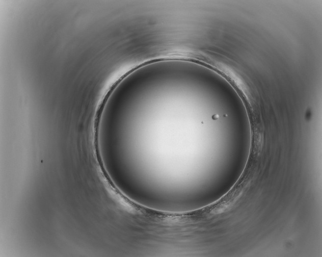 X0000095551480200712211359