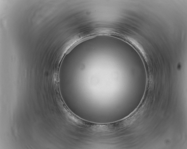 X0000095551481200712211359