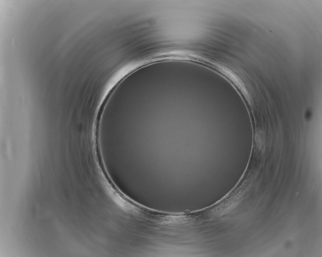 X0000095551482200712211359