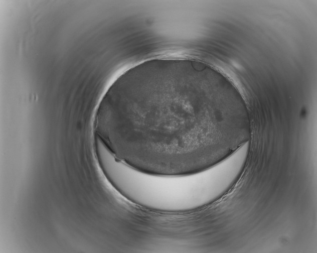 X0000095551483200712211359