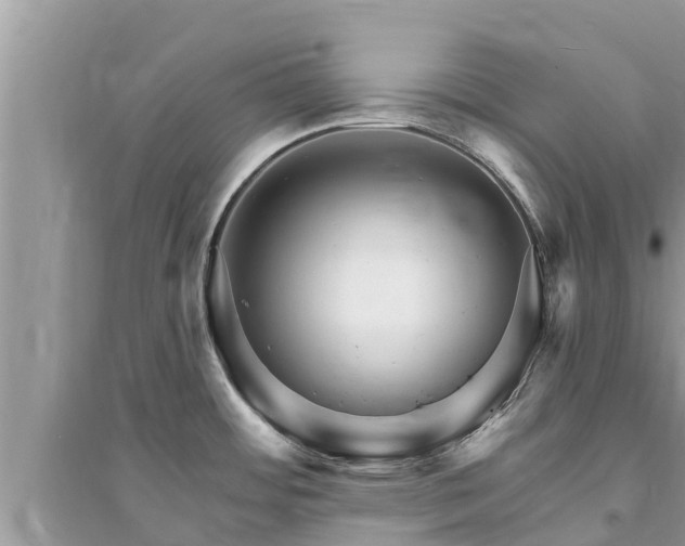 X0000095551484200712211359