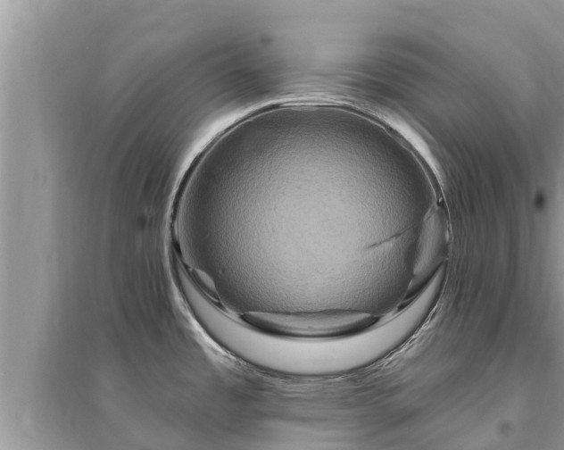 X0000095551485200712211359