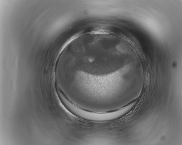 X0000095551487200712211359