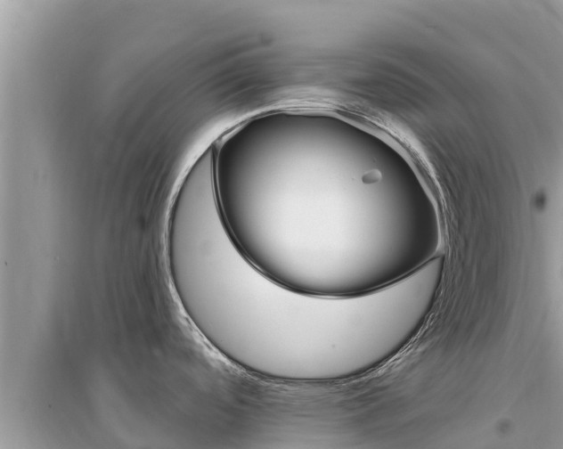 X0000095551488200712211359