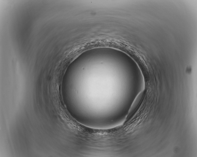 X0000095551489200712211358