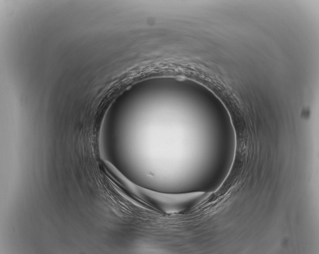 X0000095551490200712211358