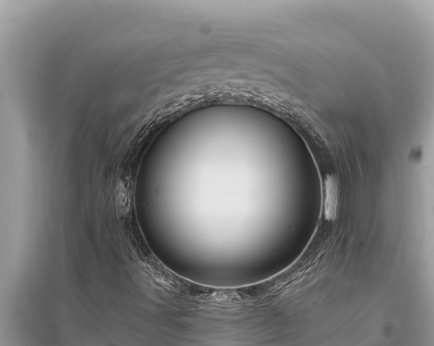 X0000095551491200712211358