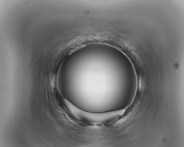 X0000095551492200712211358