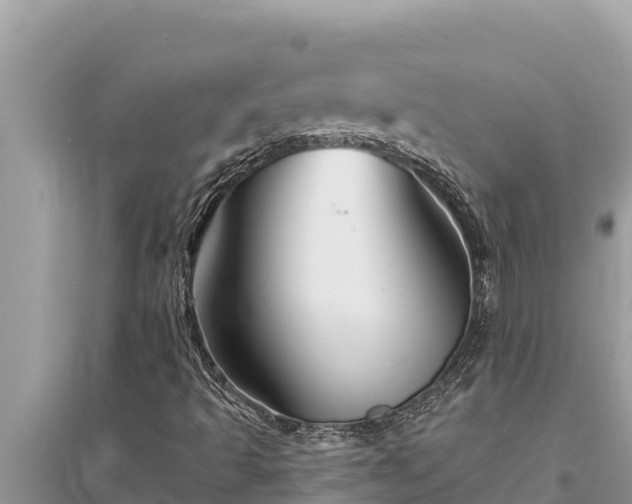 X0000095551493200712211358