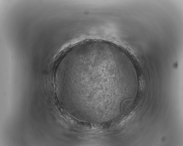 X0000095551494200712211358