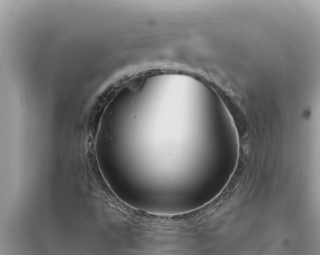 X0000095551495200712211358