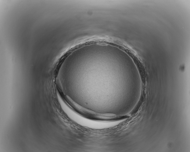 X0000095551496200712211358