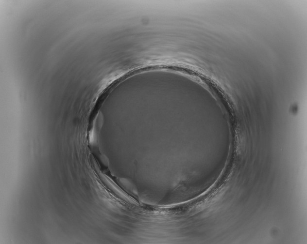 X0000095551497200712211358