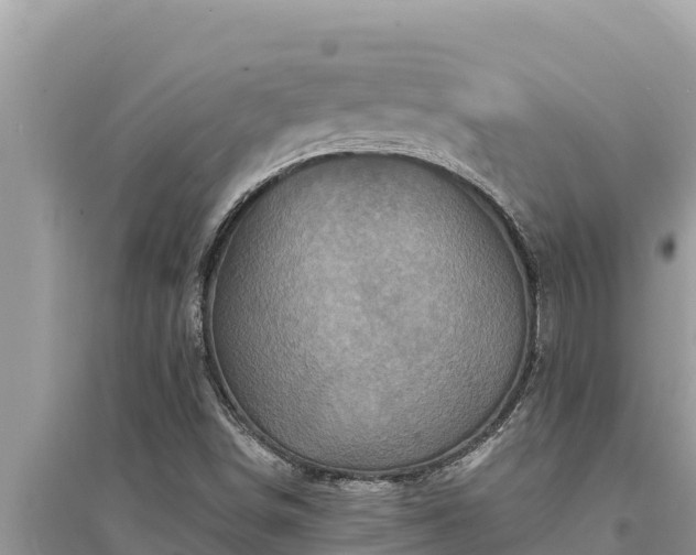 X0000095551498200712211358