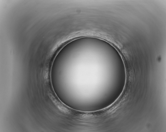 X0000095551499200712211358