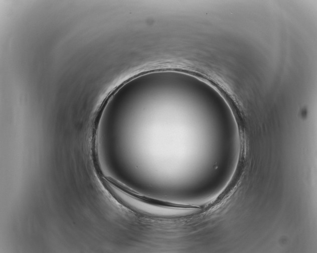 X0000095551500200712211358