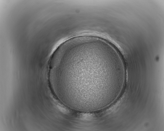 X0000095551501200712211358