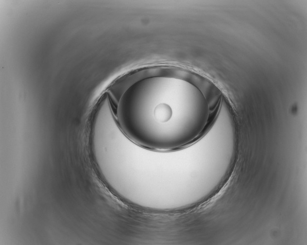 X0000095551502200712211358