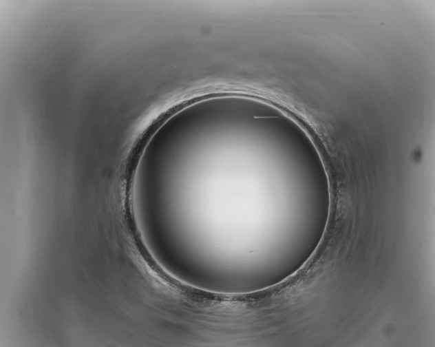 X0000095551503200712211358