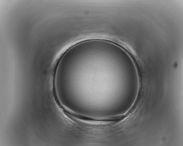 X0000095551504200712211358