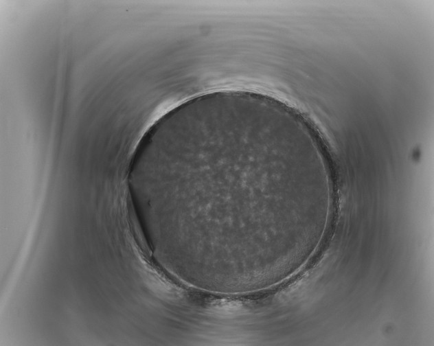 X0000095551505200712211358