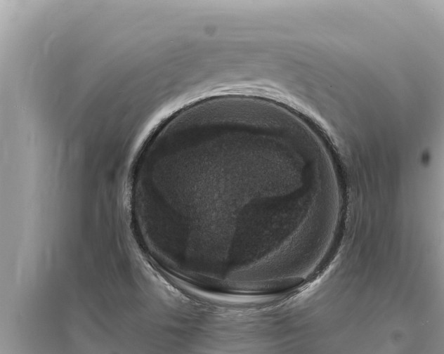 X0000095551506200712211358