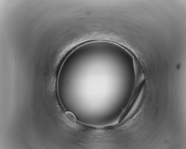 X0000095551507200712211358