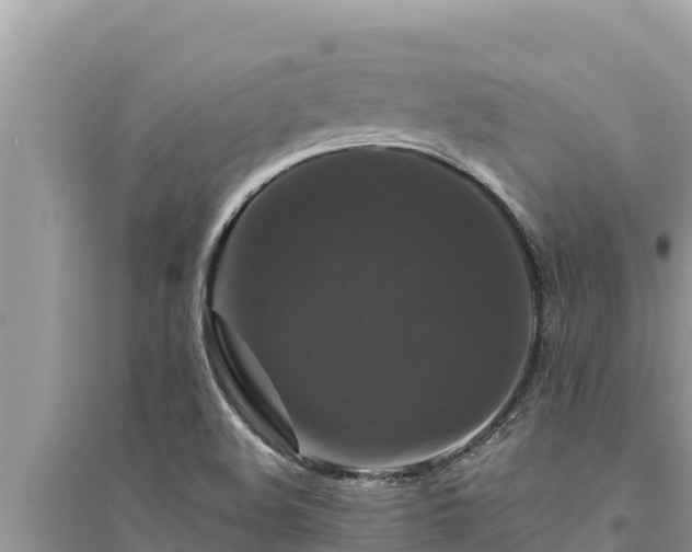 X0000095551508200712211358