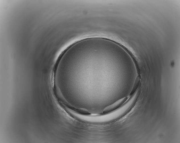 X0000095551510200712211358