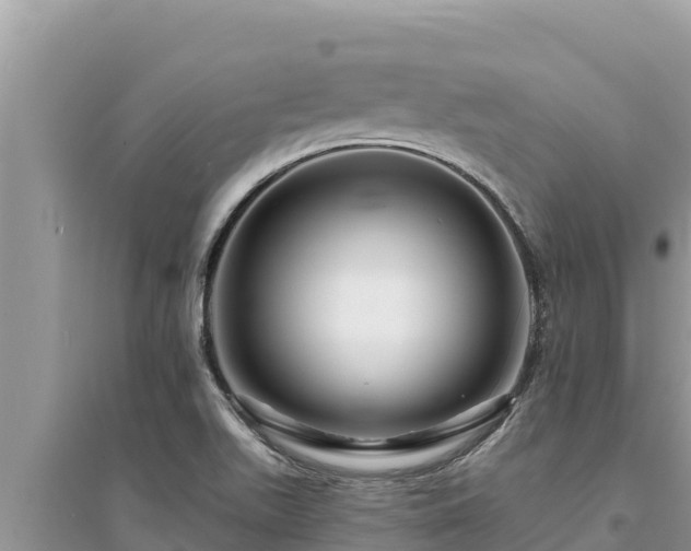 X0000095551511200712211358