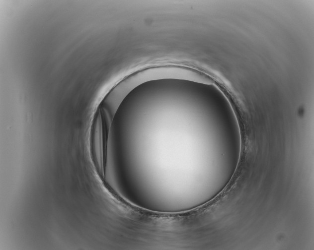 X0000095551512200712211358