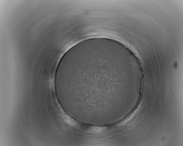 X0000095551513200712211358