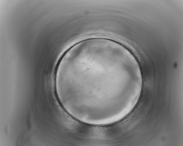 X0000095551514200712211358