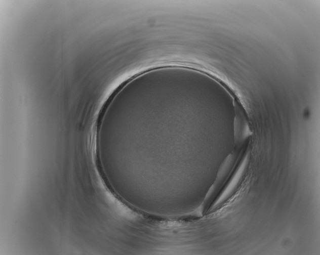 X0000095551515200712211358