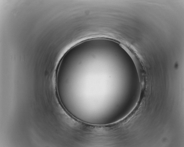 X0000095551516200712211358