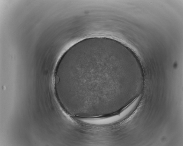 X0000095551517200712211358