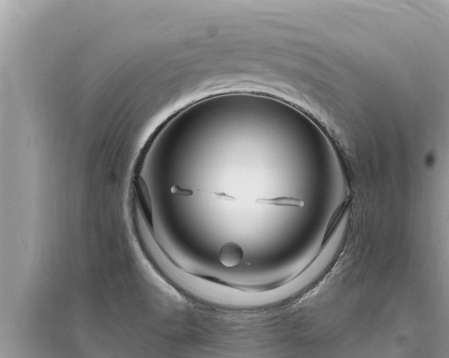 X0000095551518200712211358