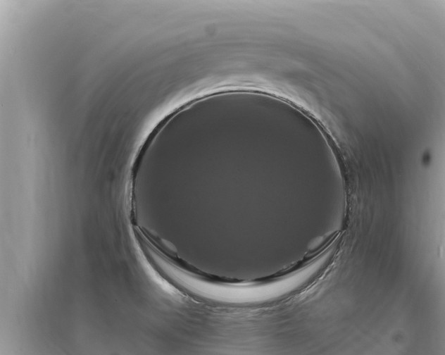 X0000095551519200712211358