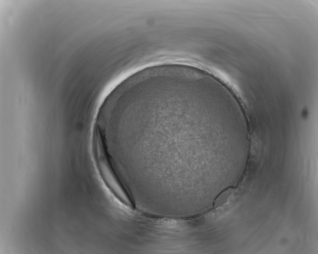 X0000095551520200712211358