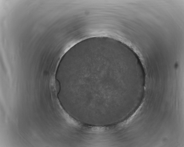 X0000095551521200712211358