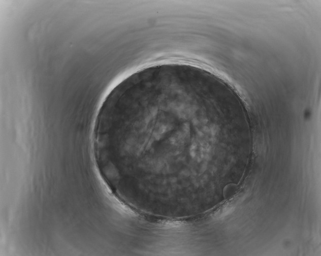 X0000095551522200712211358