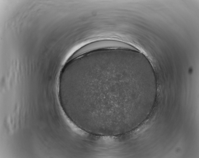 X0000095551523200712211358