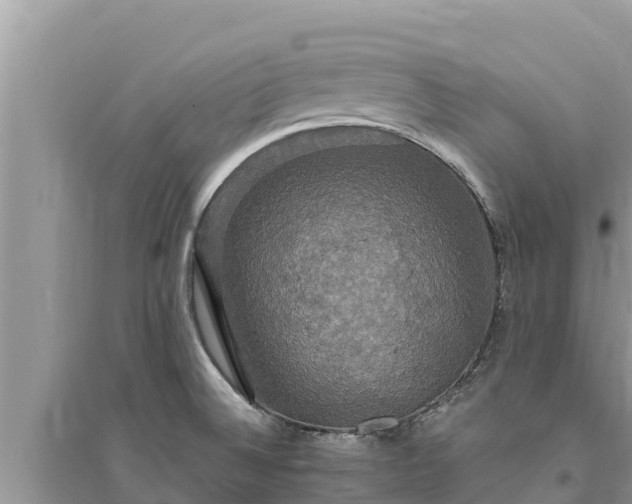 X0000095551524200712211358