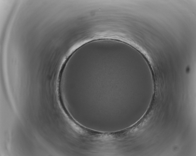 X0000095551525200712211358